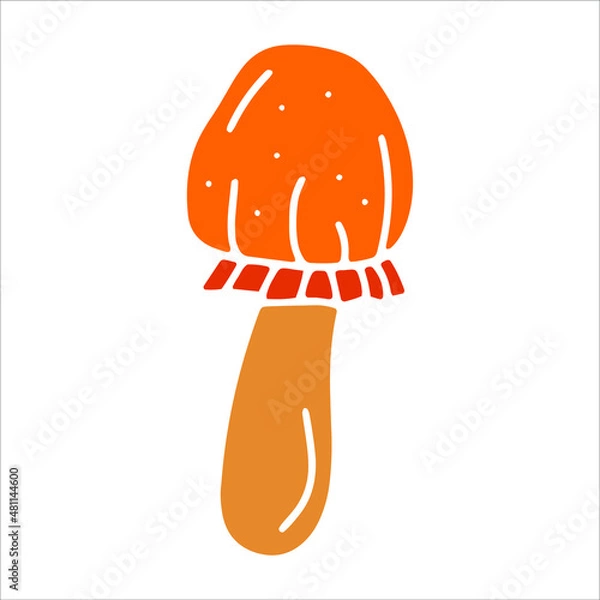 Obraz Mashroom hand drawn element. Vector illustration.