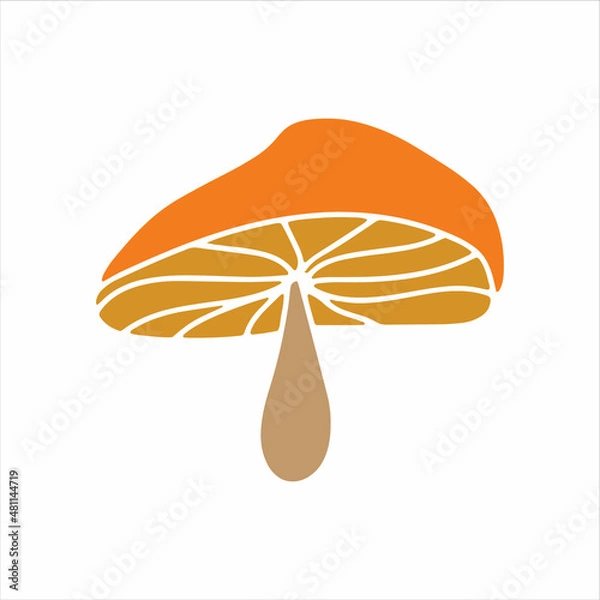 Obraz Mashroom hand drawn element. Jpeg image.