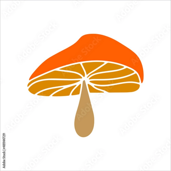 Obraz Mashroom hand drawn element. Vector illustration.