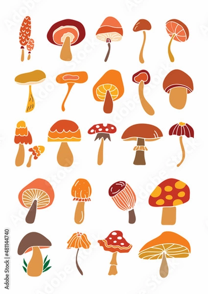 Obraz Set of colorful mushrooms. Jpeg image.