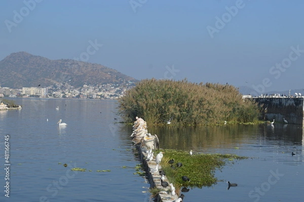 Fototapeta lake in autumn