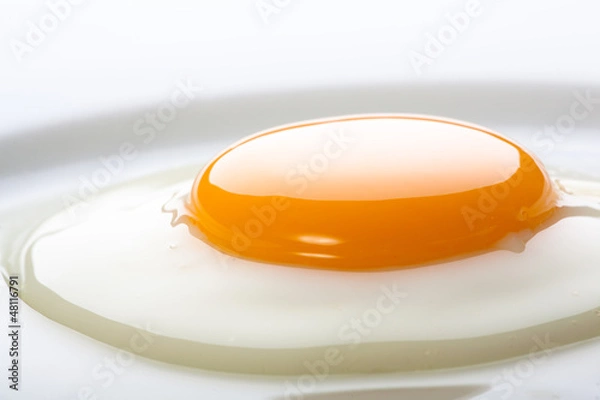 Obraz Sunny Egg