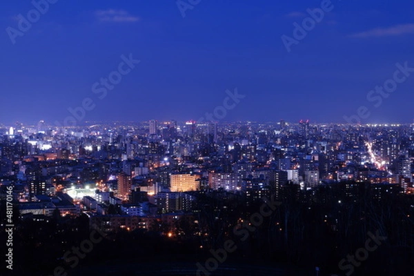 Fototapeta 旭山記念公園から見た札幌の夜景