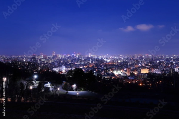 Fototapeta 旭山記念公園から見た札幌の夜景
