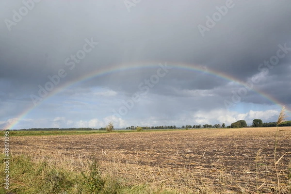 Fototapeta Regenbogen