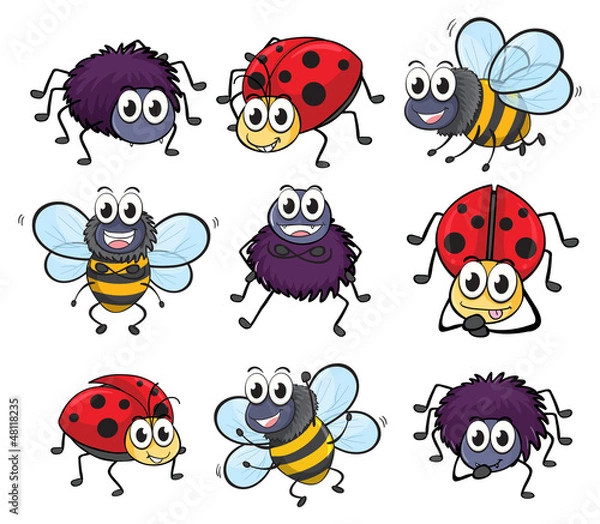 Obraz A spider, a ladybug and a bee