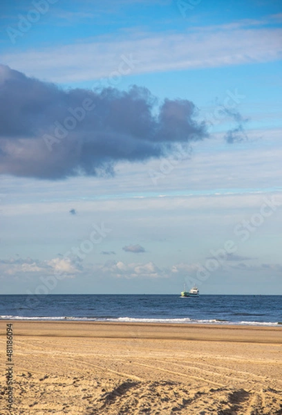 Obraz Huge ship passing the beach