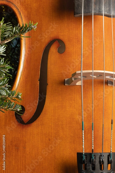 Fototapeta Close up of a cello on Christmas tree background. F hole of a cello.