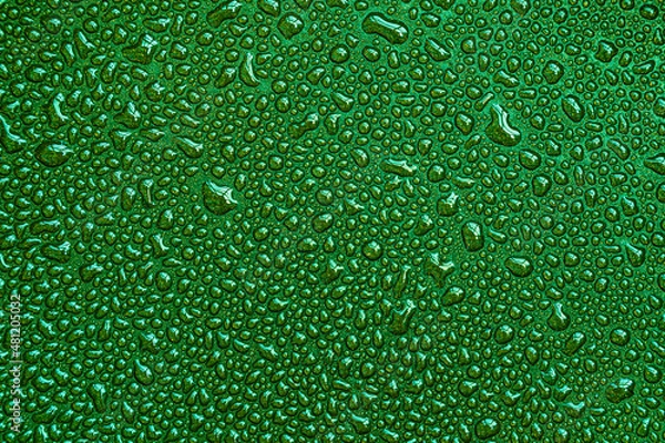 Fototapeta Drops, drips, blobs, beads, dribbles of water on the green brilliant surface. Monochrome macro or closeup background or texture