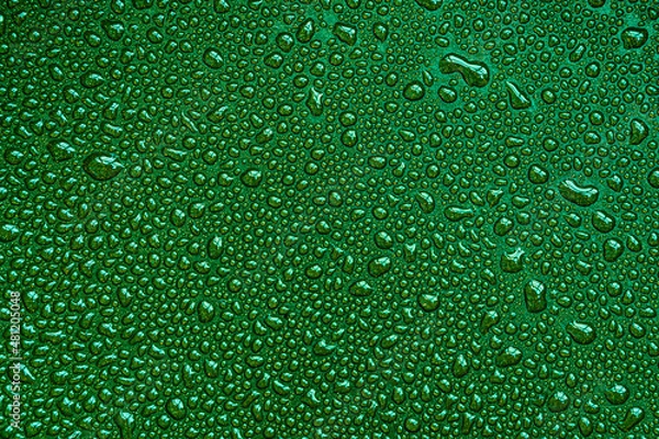 Fototapeta Drops, drips, blobs, beads, dribbles of water on the green brilliant surface. Monochrome macro or closeup background or texture
