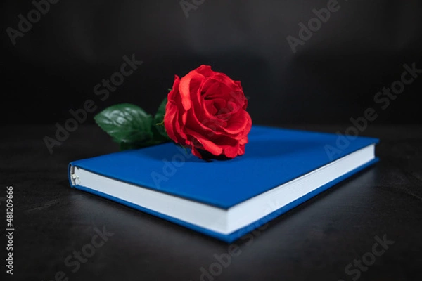 Obraz red rose on book