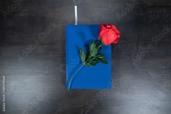 Obraz red rose on book