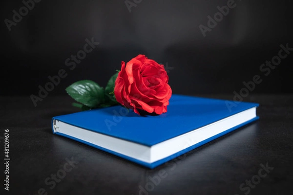 Obraz rose and book