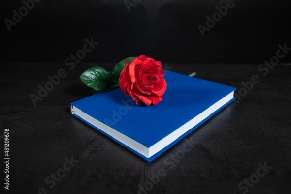 Obraz red rose on a book