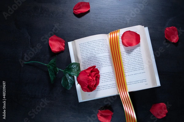 Obraz red rose and book with Catalan flag