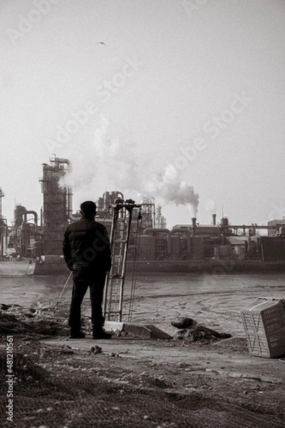 Obraz photographer at work