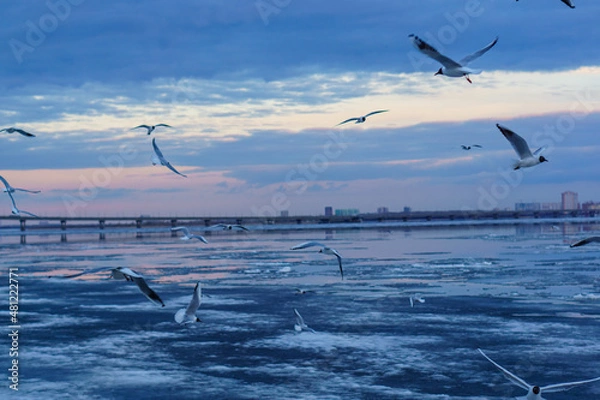 Obraz Саратов