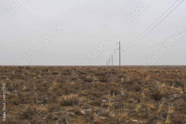 Fototapeta A small power line in the steppe