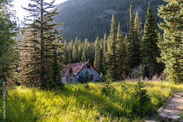 Obraz Cabin in the Woods