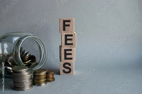 Fototapeta The inscription FEES on wooden cubes isolated on a light background along with a glass jar with coins, business and finance concept.