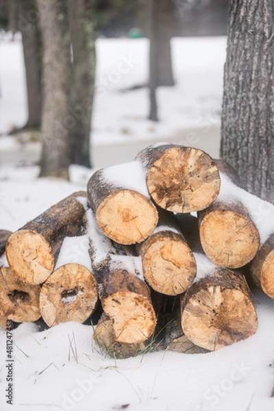 Obraz A stack of firewood logs covered in snow outside