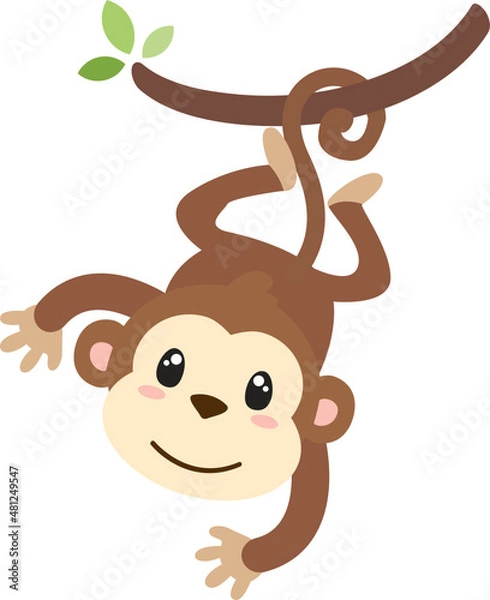 Fototapeta Monkey