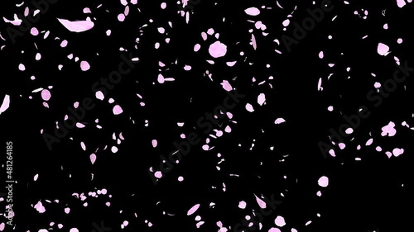 Obraz 桜 桜吹雪 舞い散る ピンク 黒背景 [別Verあり]