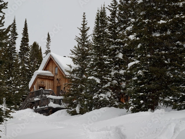 Obraz A snowy mountain cabin