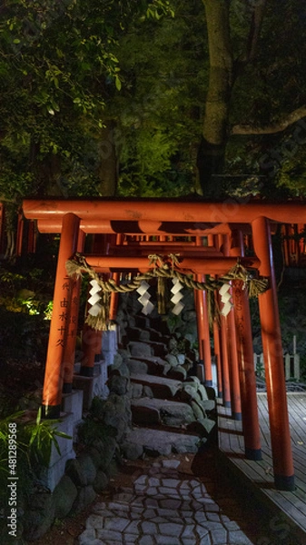 Obraz 金澤神社 鳥居
