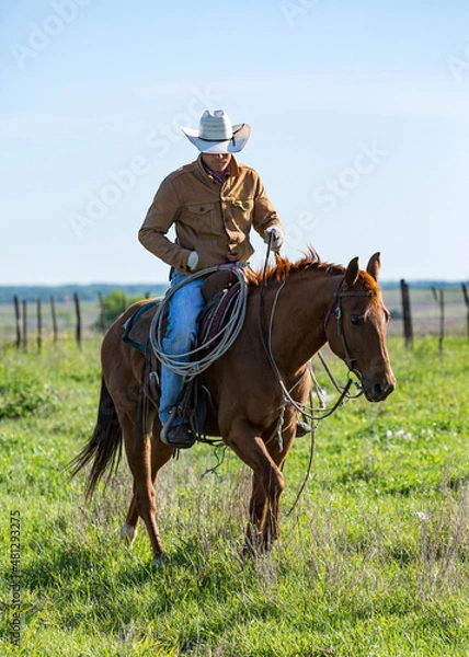 Obraz cowboy riding horse in pasture on the ranch