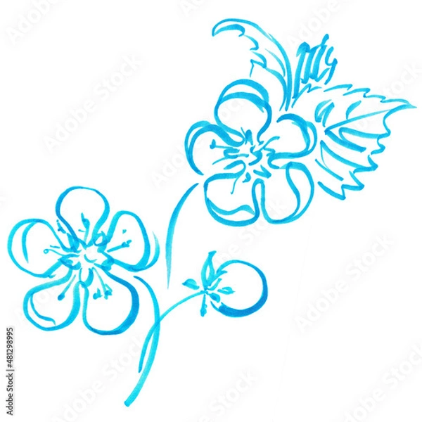 Obraz Marker bright blue flower with leaves hand drawn line stroke strawberries
