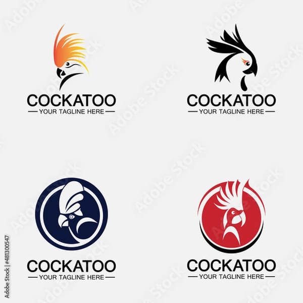 Fototapeta Set Cockatoo Parrot Bird logo design vector template