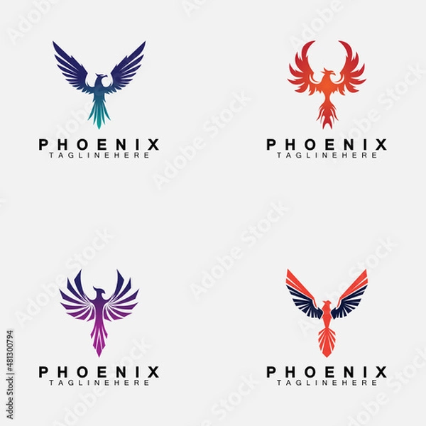 Obraz Set Phoenix logo Vector Illustration Design Template
