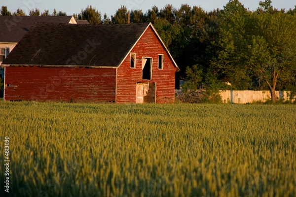 Fototapeta Old red country barn