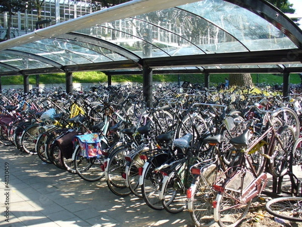 Obraz parking vélos
