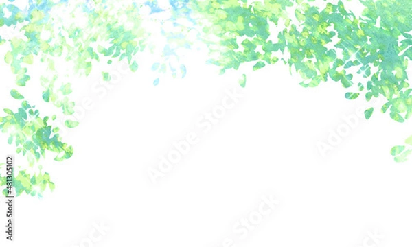 Obraz 木漏れ日が差し込む新緑の木陰