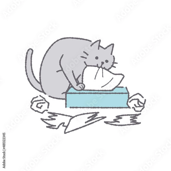 Fototapeta ティッシュを出す猫