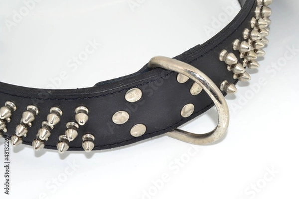 Fototapeta Cinto de cuero
