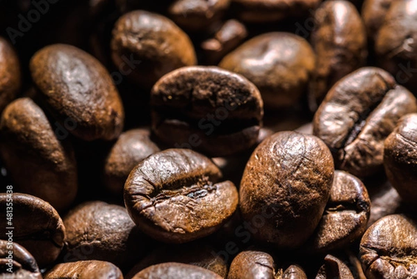 Obraz Freshly roasted coffee beans background. Coffee beans macro, texture.
