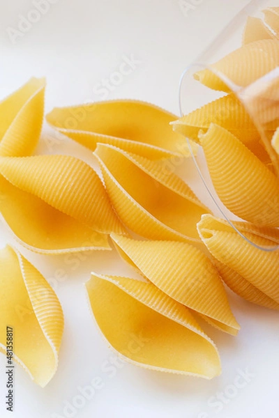 Obraz pasta conchiglioni