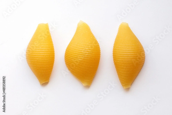 Obraz pasta conchiglioni