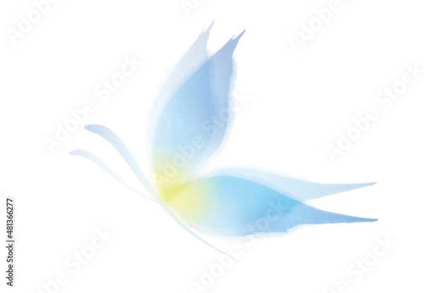 Fototapeta 蝶　花びら　水彩	