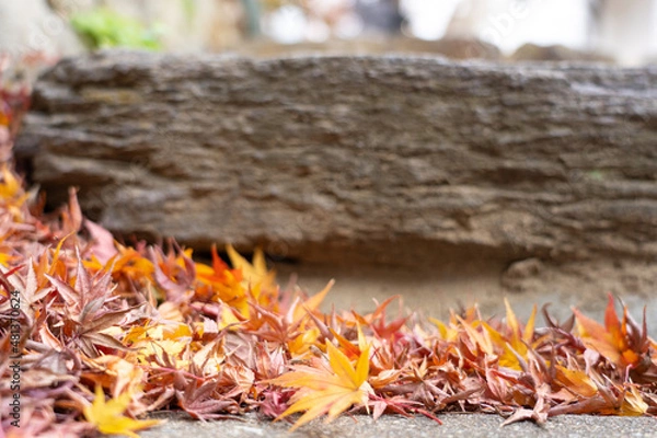 Fototapeta 石の階段に積もった紅葉、落ち葉