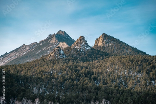 Obraz landscape in the winter