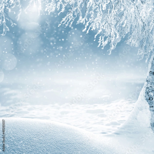 Obraz Winter landscape with snowdrifts and birch tree branches in frost. Winter landscape. Winter background