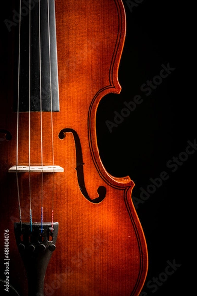 Obraz Violin on black background
