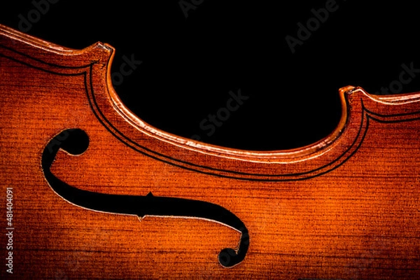 Fototapeta violin on black background