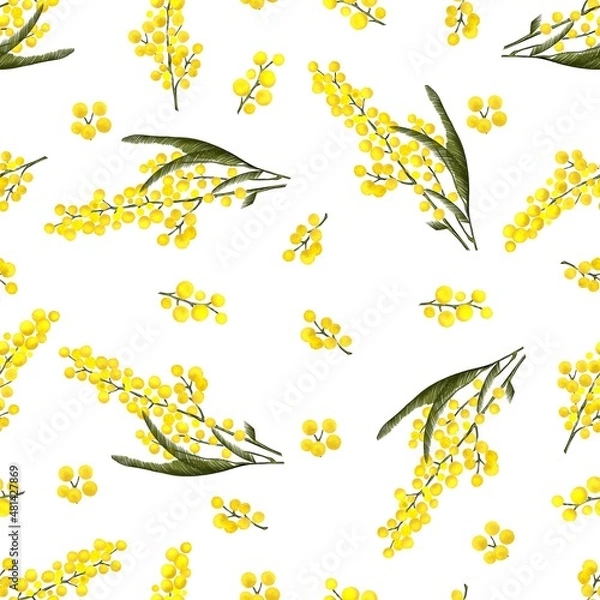 Fototapeta Seamless pattern of Mimosa branches and leaves