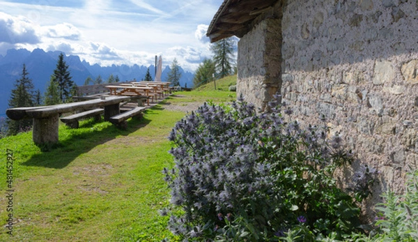 Obraz Summer mountain landscape. Eryngium alpinum (blue thistle) flowers near a rustic stone wall, refreshment tables and benches with mountains in the background.