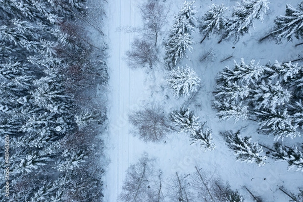 Fototapeta Winter from the sky